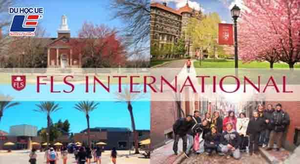 fls international to chuc giao duc tai my