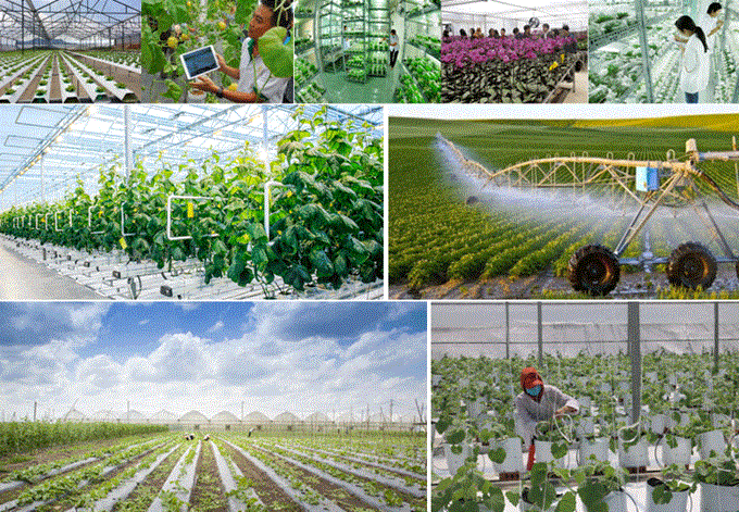 Công nghệ sẽ thay đổi toàn bộ ngành nông nghiệp (ảnh: internet). 