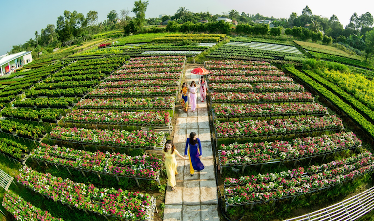 du hoc nganh nong nghiep tai anh 68255250e7fcf