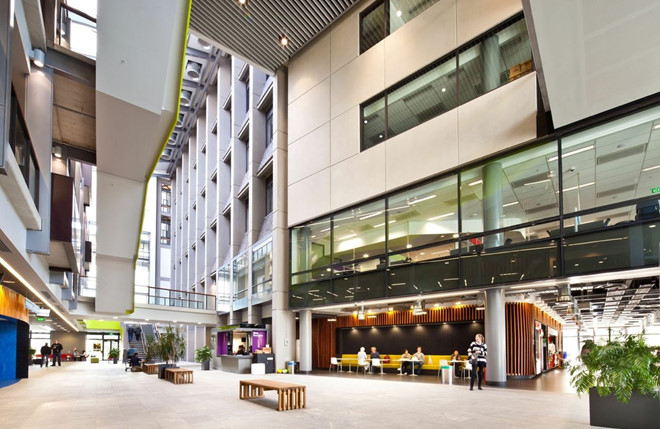 Học bổng 100% trường Đại học Auckland, New Zealand